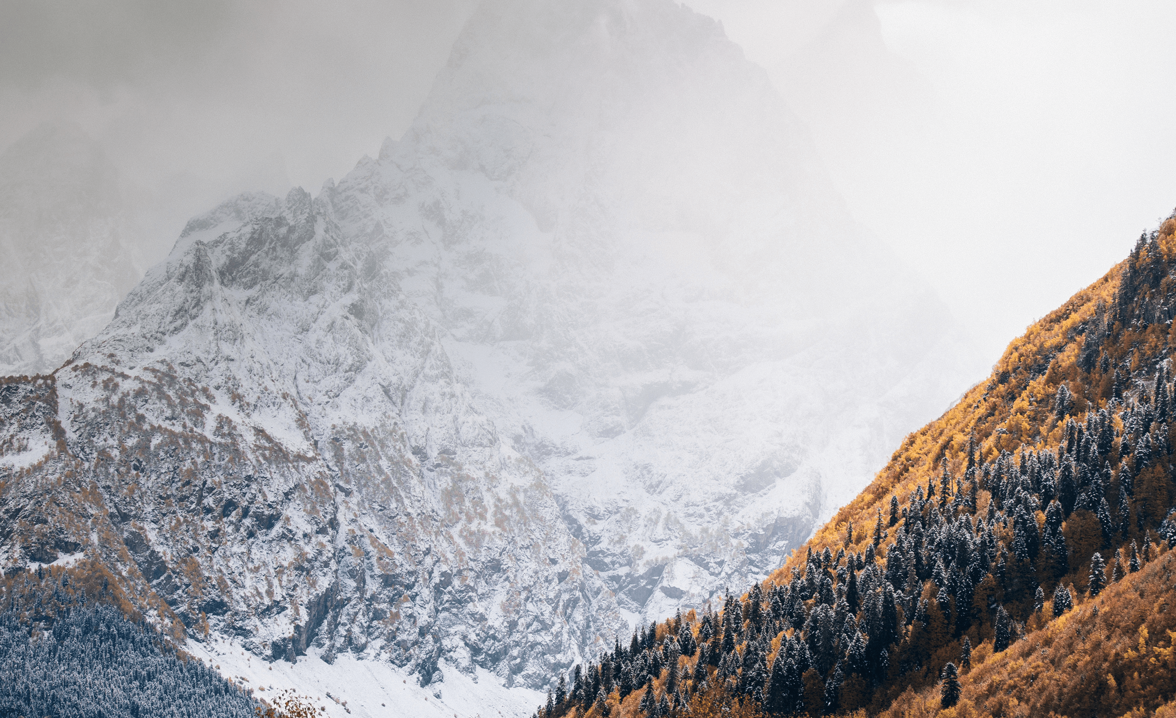 Invesru background image